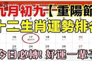 農曆九月初九重陽節，10月17號生肖運勢排名