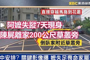 消失的阿嬤！失蹤7天現身竟陳屍離家200公尺草叢旁