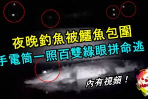 夜晚釣魚被一群鱷魚包圍還不懂！手電筒一照百雙綠眼拚命逃，差點進鱷魚嘴巴！內有視頻！