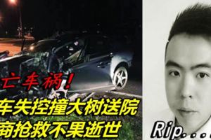 轎車失控撞大樹送院華商搶救不果逝世！