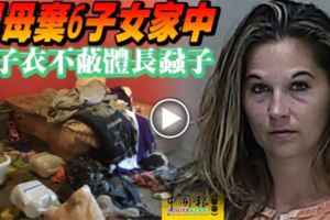 狠母棄6子女家中孩子衣不蔽體長蝨子