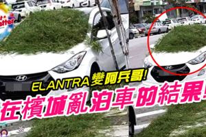 在檳城亂泊車的結果！ELANTRA車主擋住工人修剪草木，擋風玻璃被鋪雜草！