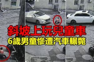 斜坡上玩兒童車　6歲男童慘遭汽車輾斃【內附視頻】