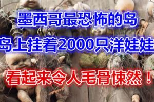 奇聞|墨西哥最恐怖的島，島上掛著2000隻洋娃娃，看起來令人毛骨悚然！