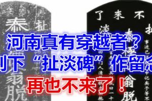 河南真有穿越者？刻下「扯淡碑」作留念：再也不來了！