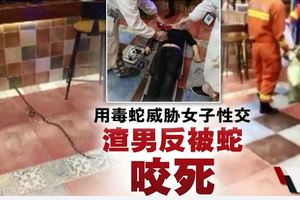 帶毒蛇威脅女子性交‧男子與蛇共浴遭咬死(內附視頻）