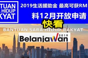 2019生活援助金，BSH料12月份開放申請！