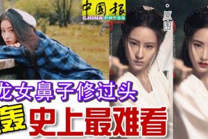 小龍女鼻子修過頭-挨轟史上最難看