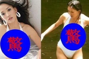 陳喬恩林志玲穿同款衣服，沒想到竟差距這麼大！