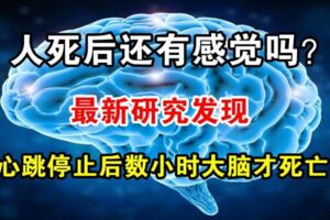 人死後還有感覺嗎？最新研究發現心跳停止後數小時大腦才死亡