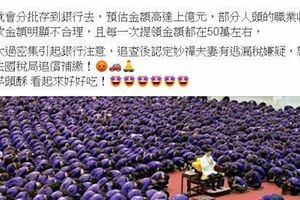 妙天將從政？愛徒妙禪早被政府盯上