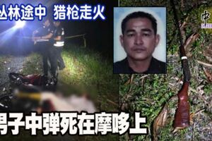 往叢林途中獵槍走火男子中彈死在摩哆上