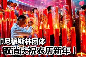 穆斯林團體要求取消華人新年遭拒印尼政府：應該受到尊重