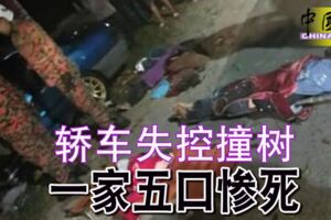 轎車失控撞樹一家五口慘死