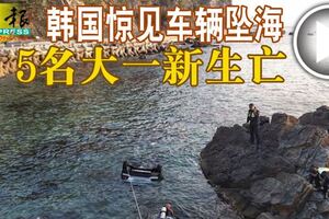 韓國驚見車輛沖破護欄墜海，5名大一新生亡