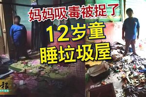 媽媽吸毒被捉了12歲童睡垃圾屋