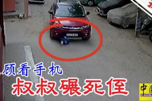 (內附視頻）只顧看手機叔叔碾死侄!