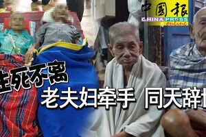 生死不離老夫婦牽手同天辭世