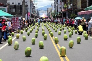 端午節立蛋不稀奇 屏東佳冬立西瓜才炫