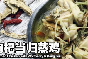 （視頻）枸杞當歸蒸雞SteamedChickenwithWolfberry&DangGui