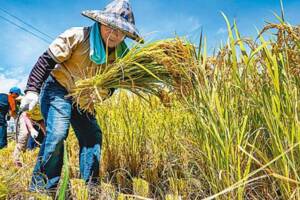 政策支票滿天飛！10大社福津貼 明年元旦漲4.15％