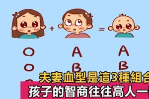 夫妻血型是這3種組合，易懷上高智商寶寶，最後一種容易出學霸