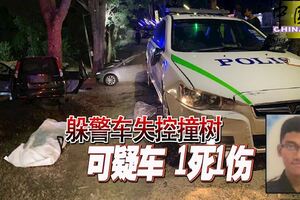 躲警車失控撞樹可疑車1死1傷