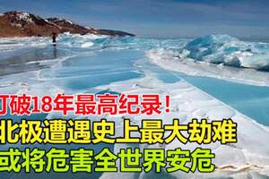 打破18年最高紀錄！北極遭遇史上最大劫難，或將危害全世界安危