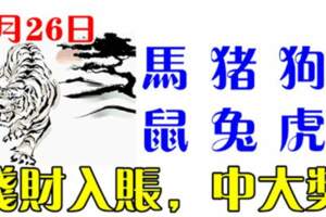 8月26日生肖運勢_馬、豬、狗大吉