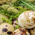 吃鵪鶉蛋可補充哪些營養