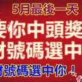 5月最後一天，要你中頭獎，發財號碼選中你，十二生肖發橫財！