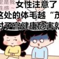 女性注意了，這處的體毛越「茂密」，對子宮健康危害就越大