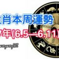 12生肖本周運勢2017年(6.5—6.11)