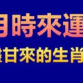 6月時來運轉，苦盡甘來的生肖屬相！