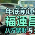 年底前運勢大旺，福運昌隆，財源不斷，八方聚財的5大生肖！