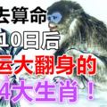 不用去算命，7月10日後，財運大翻身的4大生肖！