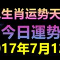 十二生肖運勢天天看，今日運勢：7月12日