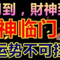 八月到，財神到，這些生肖哈哈笑，財神臨門好運勢不可擋