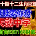 第八十期十二生肖財運號碼。發發發要你發！今天就中字！記得留言830168財氣大旺！