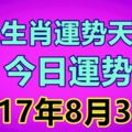 十二生肖運勢天天看，今日運勢：8月31日