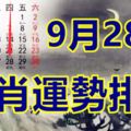 9月28號生肖運勢排名