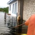 洪水把房子淹了，忠心狗狗蹲在門口守了3天，紋絲不動等待主人！