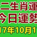 十二生肖運勢天天看，今日運勢：10月17日