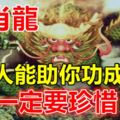 生肖龍：一定要珍惜這兩個人，它能助你功成名就！