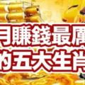 12月賺錢最厲害的五大生肖