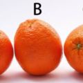 超准心理測試：哪個橙子最甜？測你在愛情中佔有慾有多強勢！