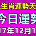 十二生肖運勢天天看，今日運勢：12月12日