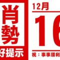 生肖運勢，天天好提示（12月16日）