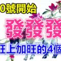 2月10號開始發發發，財運旺上加旺的4個生肖