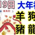 2月19日生肖運勢_羊、狗、虎大吉